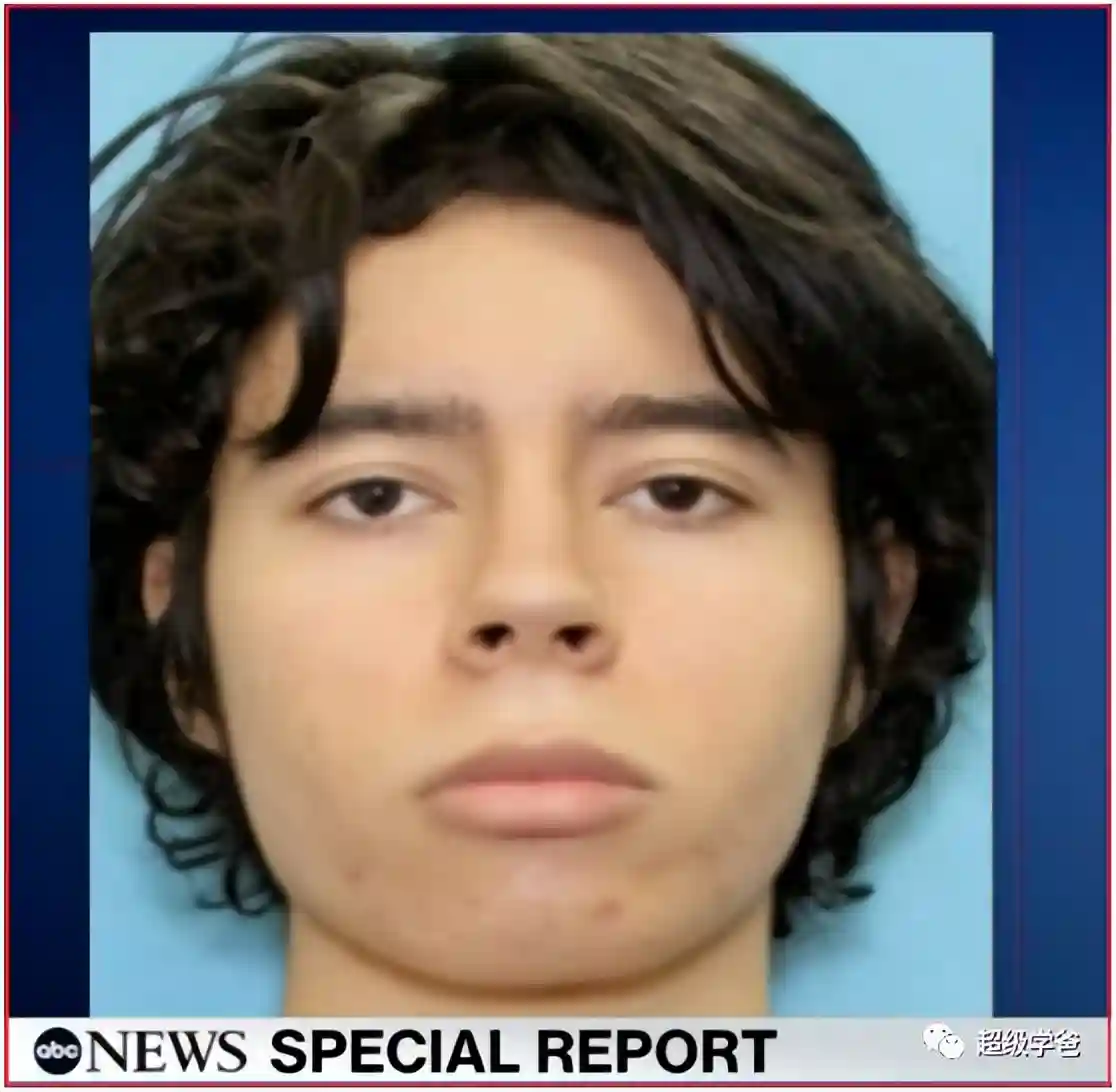 那些小可爱,也成了美国枪口下的耗材