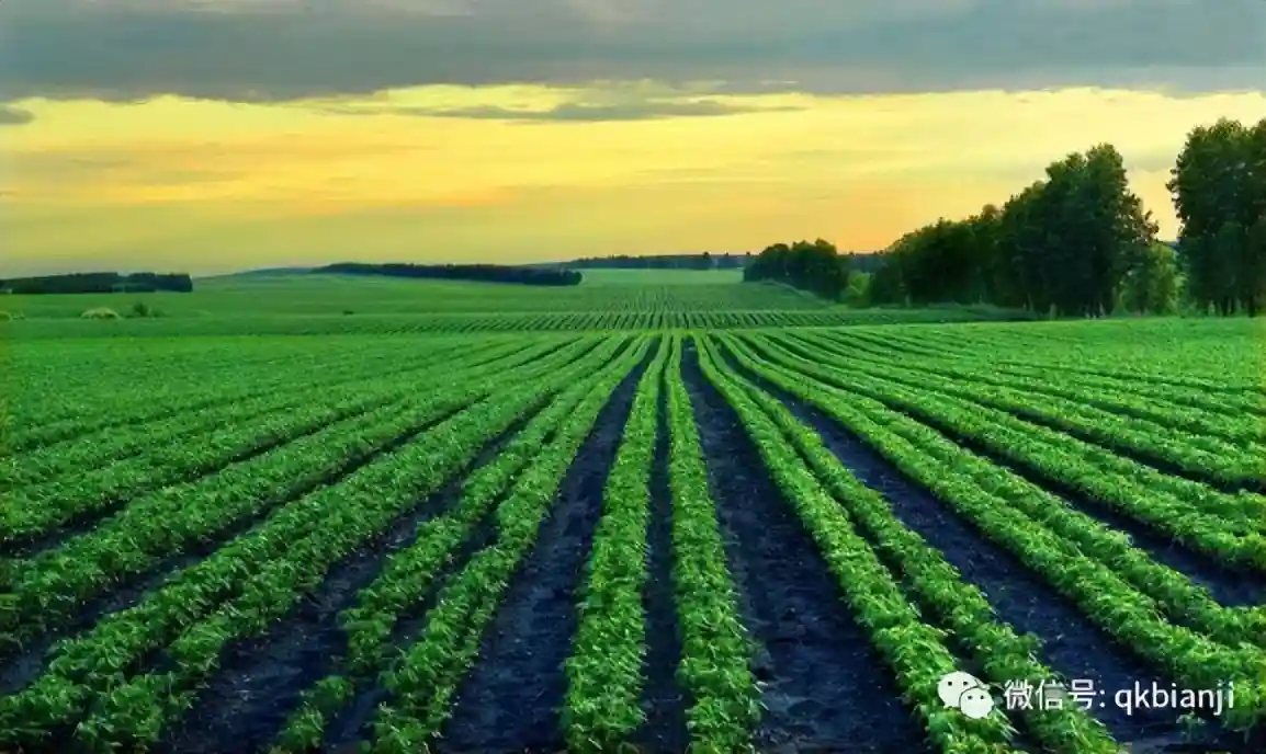 期刊索引的SCI、SSCI、EI、ISTP、ISSHP……都是什么意思