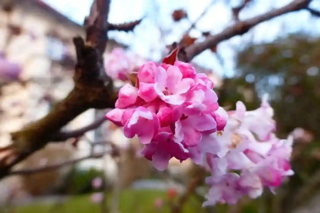 心理学显示:女人越“坏”,男人越爱不释手