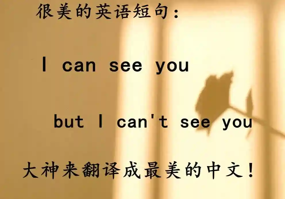 硬核中式英语的音译,暴露出的画面感简直太逗了,