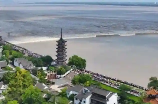 【祝玲玲】钱江潮