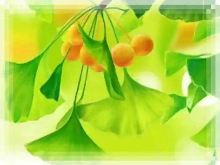 全职宝妈，为了女儿不输在起跑线上，坚持英语学习，结果意想不到