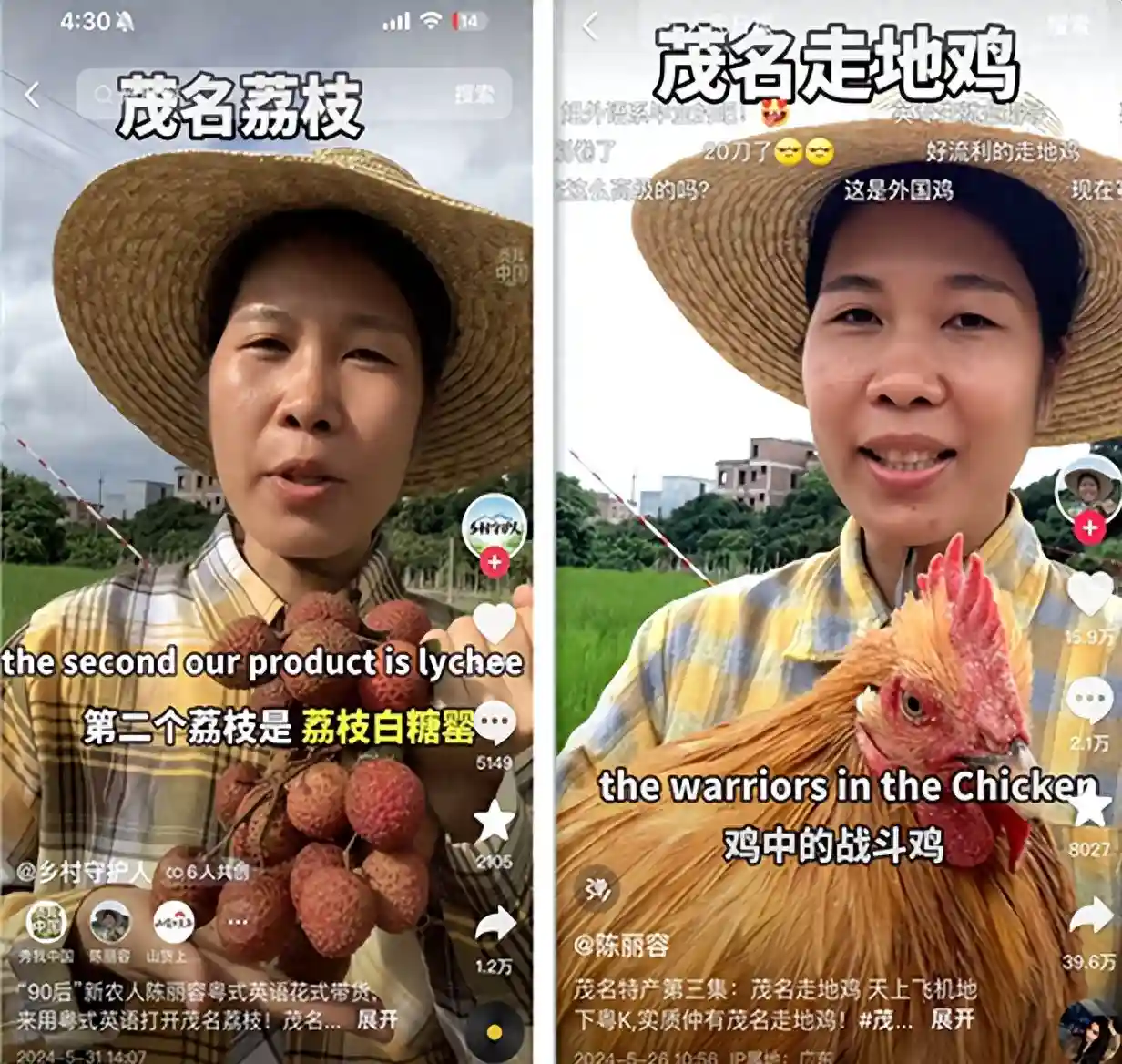 没高考过的种地女孩，抱着走地鸡练英语，仍相信学习可以改命