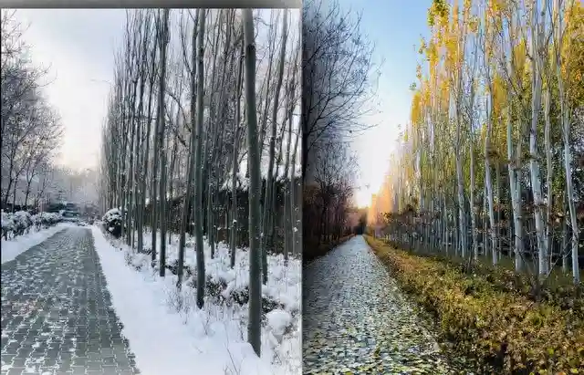 人与人最好的关系是没有关系,不远不近的关系，适合任何感情