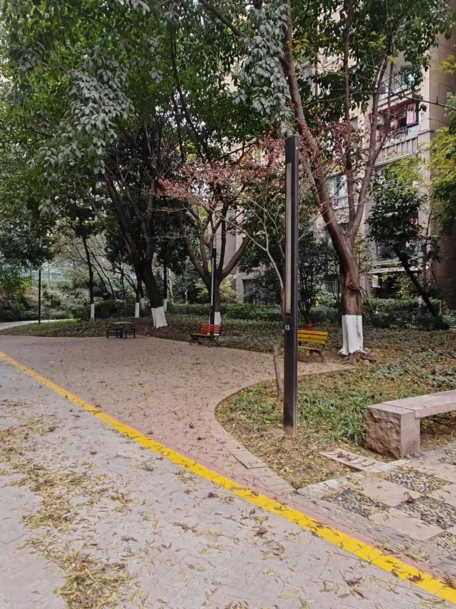 梦到母亲