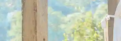 哦，我的老伙计，“翻译腔”你怕了吗？