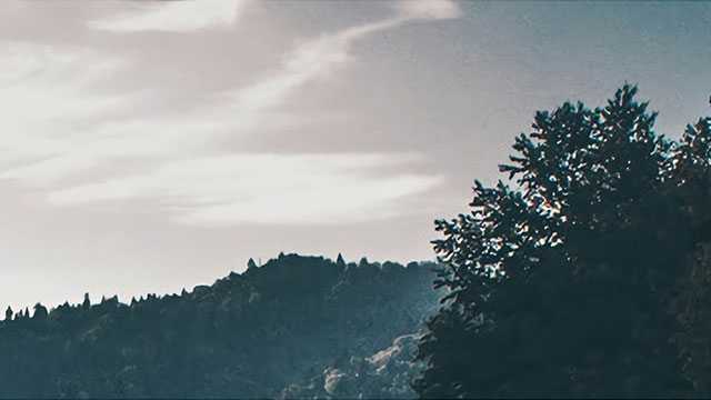 希望大家感受到更多的温暖和阳光——中日民间携手抗疫故事记